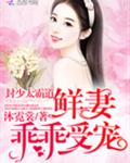封少太霸道：鲜妻乖乖受宠