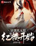穿越从无限红楼开始